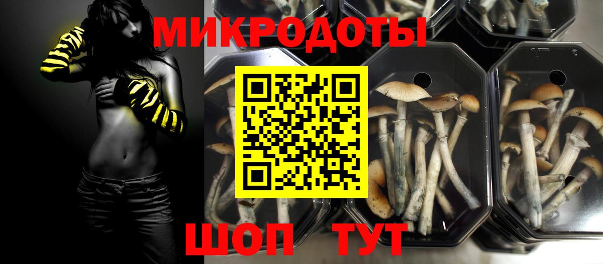 Сургут  Псилоцибиновые грибы прущие грибы  Вход с VPN 
